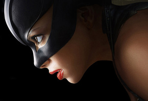 halle berry, -,  , catwoman