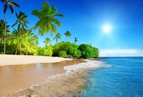 tropical, paradise, sunshine, beach, coast, sky, ocean, palm, summer, , , , , , 