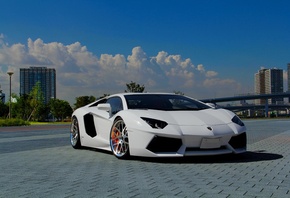 , aventador, white