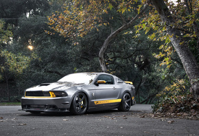 Ford, Mustang, GT, silvery, , , ,  ,  , , , 