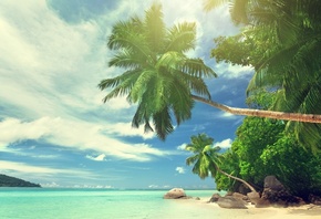 , ,  , , , , , , , , , , , tropics, Seychelles, Indian ocean, paradise, palm trees, beach, stones, sky, clouds