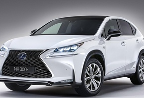 ,  300, 2014, Lexus, NX 300h, , 