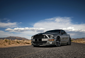 ford mustang, shelby