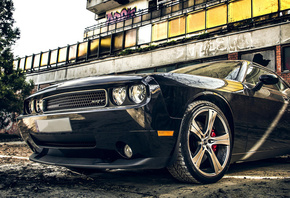 Dodge, Challenger, car, , , muscle car, 