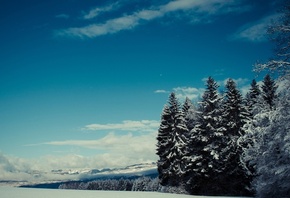 winter, trees, mountain, snow, clouds, sky