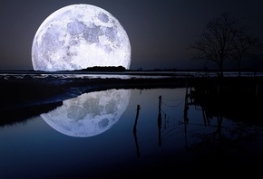 moon, river, reflexion, tree, night, star, sky