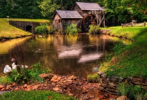 cottage, autumn, duck, water, hills, forest, trees