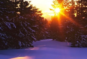 winter, mountain, snow, trees, road, sun, sky, blue