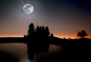 moon, river, reflexion, tree, night, star, sky