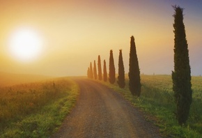 sunrise, fields, river, grass, sun, sky, morning