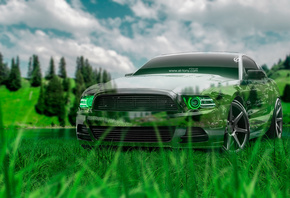 Tony Kokhan, Ford, Mustang, GT, Crystal, Nature, Car, Muscle, Green, Grass, ...