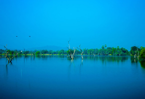 Nature, Blue, Sky, Trees, Water