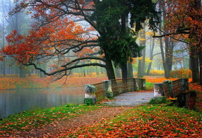 bridge, autumn, leaves, trees, path