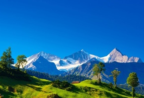 switzerland, alps, mountain, snow, cottage, grass, trees, green