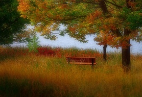 autumn, colors, trees, mountain, leaves, grass, bench, lake