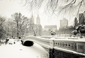 winter, new york, bridge, snow, tree, ice