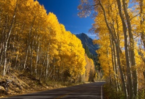 road, trees, yellow, mountain, leaves