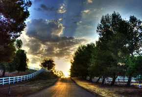 sunrise, road, bridge, trees, sky