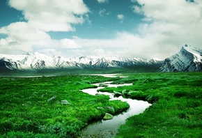 delta, river, green, path, water, fields