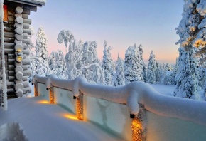 winter, trees, snow, path, mountain, moon, cabin