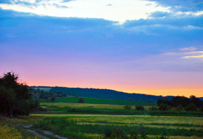 hills, fields, colors, trees, grass, sky, green