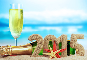 happy, new, year, 2015, 2014, happy new year, vine, beach, fish, glass, sun ...