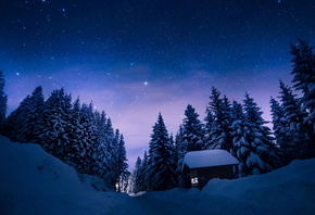 winter, snow, tree, sky, ice, house