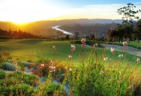 fields, river, golf, tree, grass