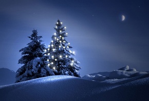 tree, mountain, snow, blue, sky