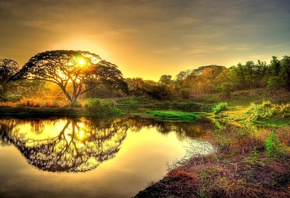 evening, tree, lake, water, sunlight