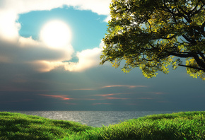 field, tree, grass, path, sky, clouds, sun