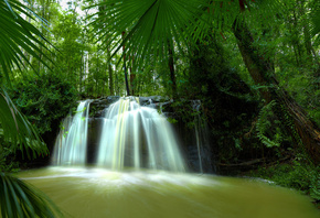 waterfall, forest, tree, river, green
