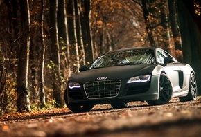 Audi, R8, , , , , , , 