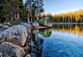 lake, water, mountain, tree, green