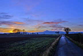 road, tree, sky, clouds