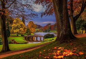 bridge, river, autumn, tree, leaves