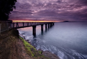 bridge, water, city, road, purple