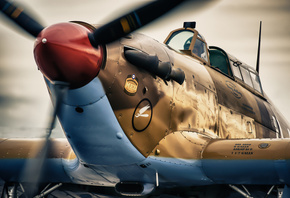 Hawker Hurricane, XIIA, , , , , , , 
