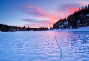 winter, snow, lake, tree, ice