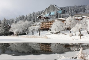 snow, tree, house, cottage, winter