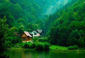 cabin, lakeside, tree, forest, water, lake, green