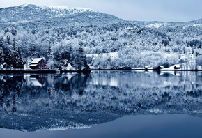 snow, tree, forest, lake, cottage, water