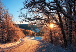 country, road, winter, snow, tree