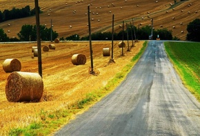 countryside, path, grass, green, sky