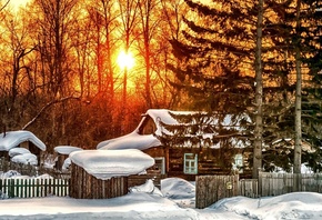 snowy, house, forest, tree, sunlight