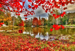 river, reflextion, tree, leaves, red, autumn