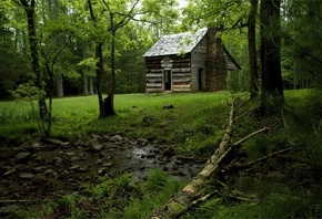 cabin, cottage, forest, tree, grass, green