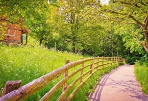 mountain, path, gree, grass, tree