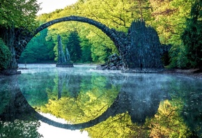 bridge, forest, reflextion, forest, tree, green