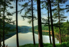 lake, mountain, tree, forest, water, sky, blue